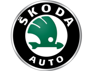 Confectionare cheie auto Skoda, Programare cip cheie auto Skoda